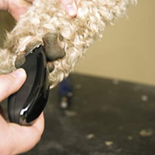 Wahl Professional Animal Super Pocket Pro Pet, Dog, & Cat Trimmer...