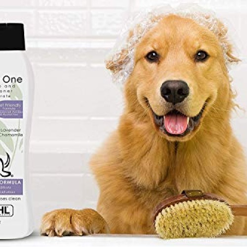 Wahl 4-in-1 Calming Pet Shampoo – Cleans, Conditions, Detangles, ...