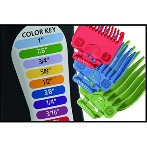 Wahl Color Pro Complete Hair Cutting Kit, 79300-400T
