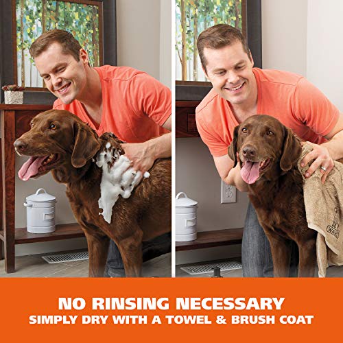 Wahl Pet Friendly Waterless No Rinse Shampoo for Animals – Lavend...