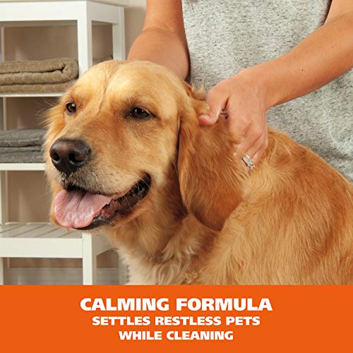 Wahl Pet Friendly Waterless No Rinse Shampoo for Animals – Lavend...