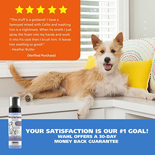 Wahl Pet Friendly Waterless No Rinse Shampoo for Animals – Lavend...