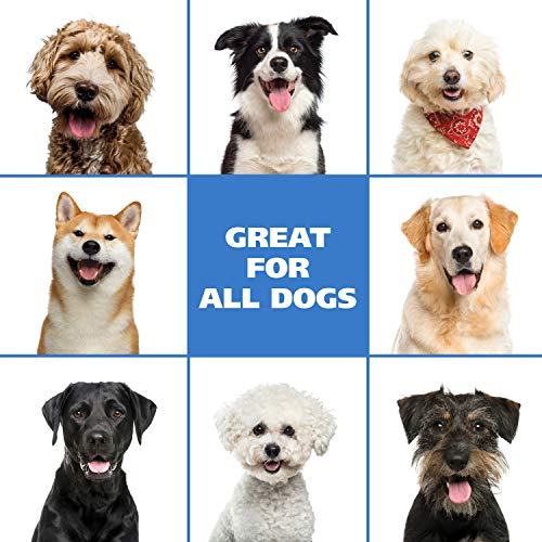 Wahl Pet Friendly Waterless No Rinse Shampoo for Animals – Lavend...