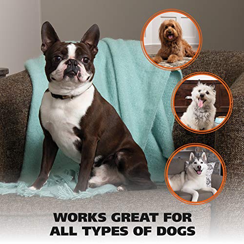 WAHL Pet Nail Clipper for Cutting Dog, Cat, & Animal Claws with R...