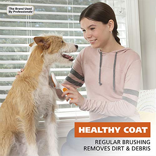 WAHL Premium Large Pet Slicker Brush with Ergronomic Rubber Grips...