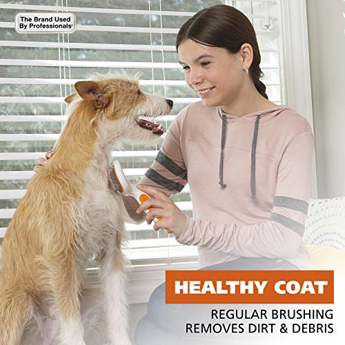 Wahl Premium Patented Dual Level Sensitive Skin Pet Slicker – Erg...