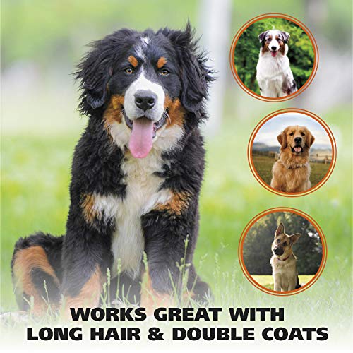 Wahl Premium Patented Dual Level Sensitive Skin Pet Slicker – Erg...
