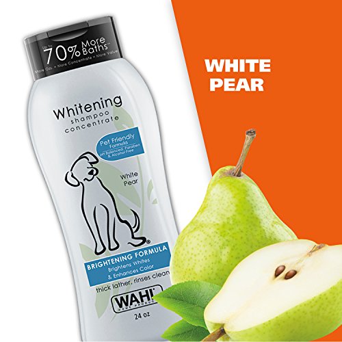 Wahl White Pear Brightening Shampoo for Pets – Whitening & Animal...