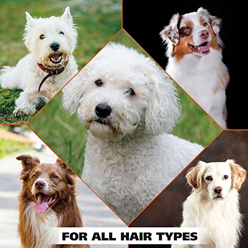 Wahl White Pear Brightening Shampoo for Pets – Whitening & Animal...