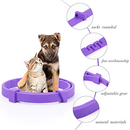 Weewooday 3 Pieces Cat Adjustable Calming Collar, Reduce Anxiety ...