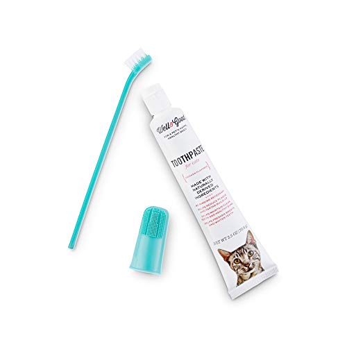 Petco Brand - Well & Good Cat Dental Health Kit with Chicken Flav...
