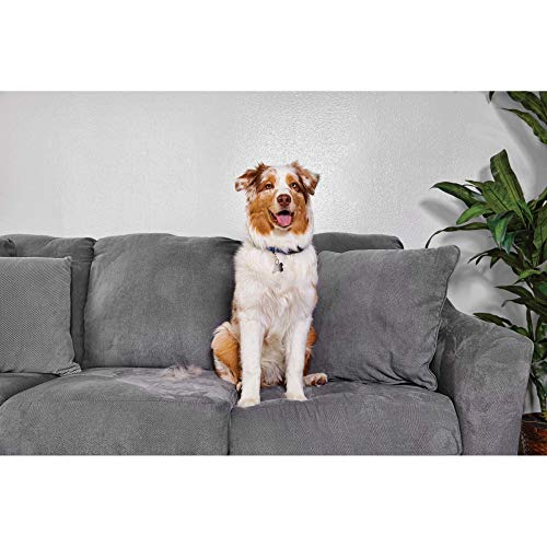 Petco Brand - Well & Good Pet Hair Roller, Large