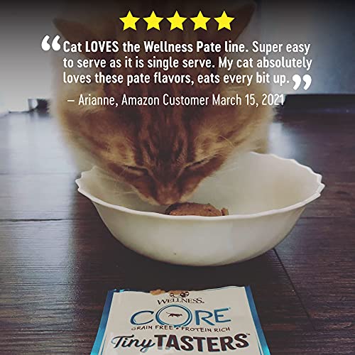 Wellness, Chicken & Turkey Tiny Tasters Cat Food, 1.75 Ounce Pack...