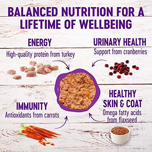 Wellness Complete Health Grain Free Canned Cat Food, Turkey & Sal...