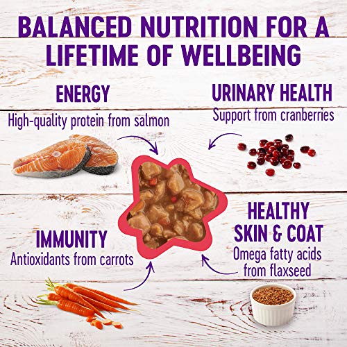 Wellness Complete Health Gravies Grain Free Canned Cat Food, Chic...