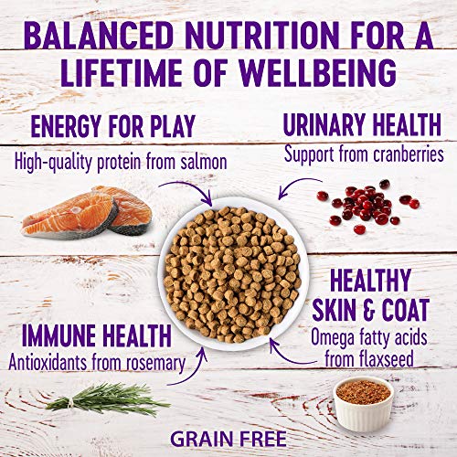 Wellness Complete Health Natural Grain Free Salmon & Herring Indo...