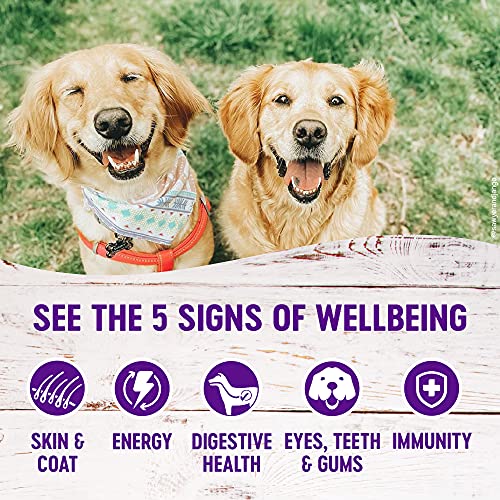 Wellness Complete Health Natural Wet Canned Dog Food, Senior Chic...