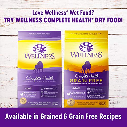 Wellness Complete Health Natural Wet Canned Dog Food, Senior Chic...