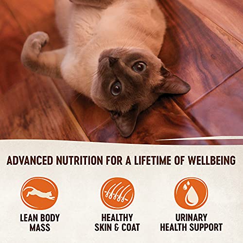 Wellness CORE Grain Free Canned Cat Food, Chicken & Chicken Liver...