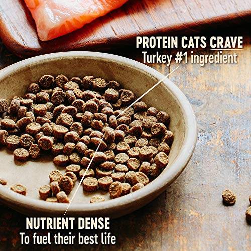 Wellness CORE Grain-Free Turkey, Turkey Meal & Duck Formula Dry C...