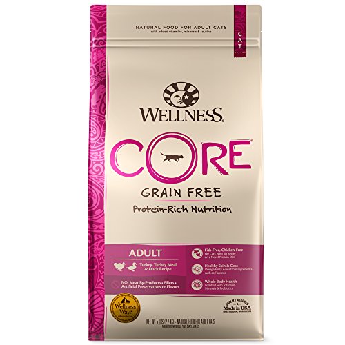 Wellness CORE Grain-Free Turkey, Turkey Meal & Duck Formula Dry C...