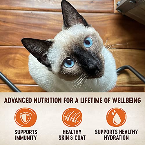 Wellness CORE Signature Selects Grain Free Canned Cat Food, Flake...