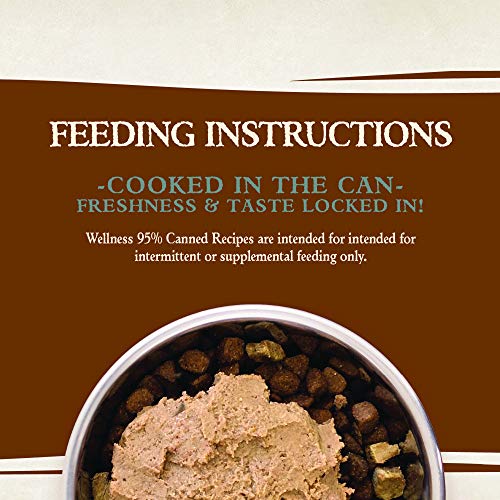 Wellness Natural Pet Food 95% Turkey Grain-Free Canned Dog Food, ...