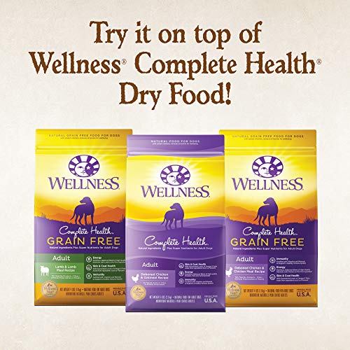 Wellness Natural Pet Food 95% Turkey Grain-Free Canned Dog Food, ...