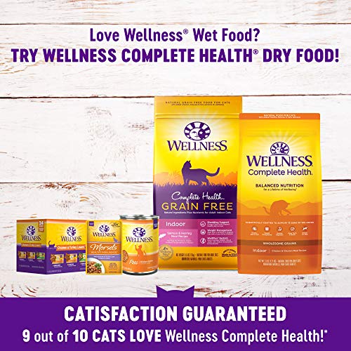 Wellness Natural Pet Food Complete Health Gravies Grain Free Cann...