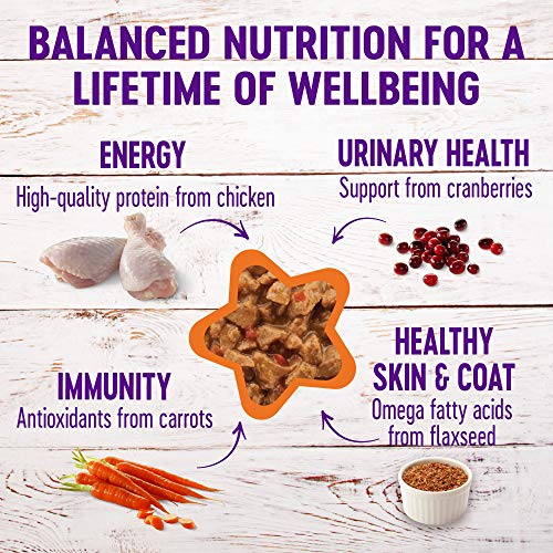 Wellness Natural Pet Food Complete Health Minced Grain Free Canne...