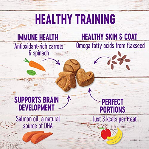 Wellness Natural Pet Food Grain-Free Crunchy Puppy Bites Chicken ...