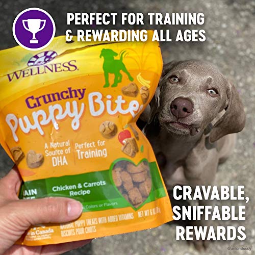 Wellness Natural Pet Food Grain-Free Crunchy Puppy Bites Chicken ...