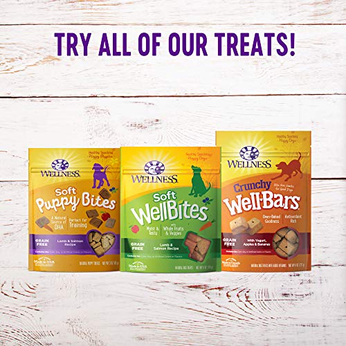 Wellness Natural Pet Food Grain-Free Crunchy Puppy Bites Chicken ...