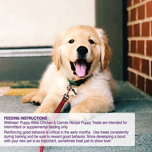 Wellness Natural Pet Food Grain-Free Crunchy Puppy Bites Chicken ...