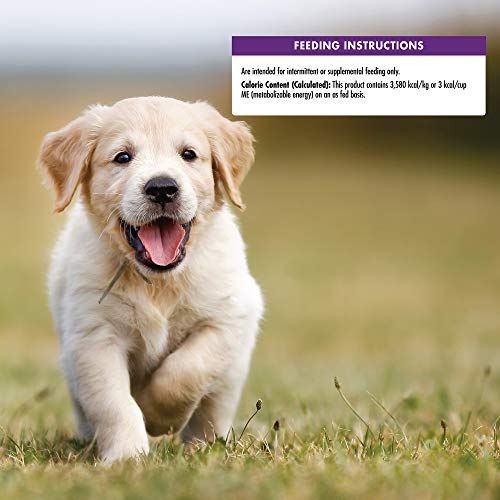 Wellness Natural Pet Food Grain-Free Crunchy Puppy Bites Chicken ...