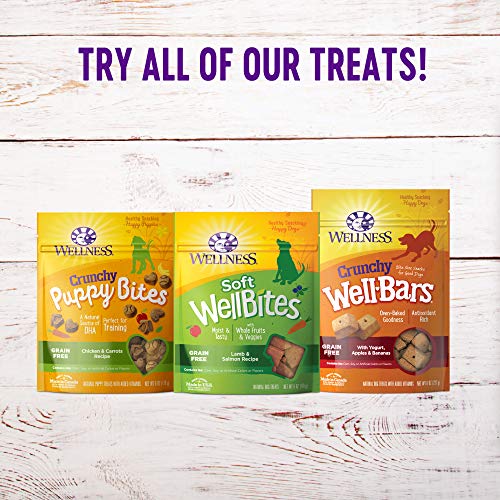 Wellness Natural Pet Food Grain-Free Crunchy Puppy Bites Chicken ...