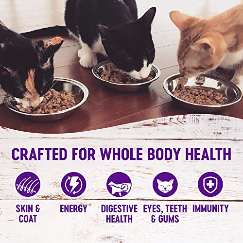 Wellness Natural Pet Food Natural Grain Free Wet Canned Cat Food,...