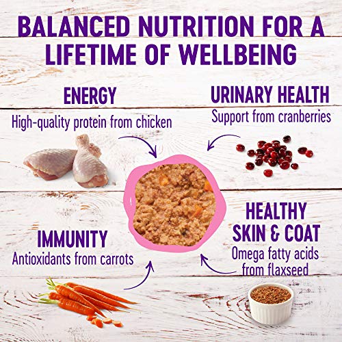 Wellness Natural Pet Food Natural Grain Free Wet Canned Cat Food,...