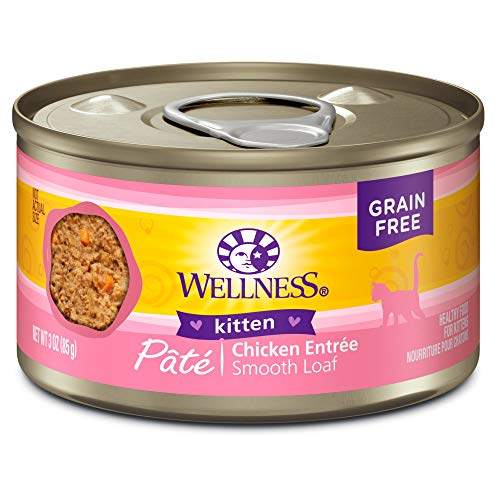 Wellness Natural Pet Food Natural Grain Free Wet Canned Cat Food,...