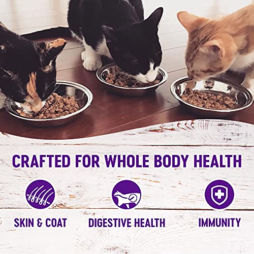Wellness Seafood Pate Favorites Variety Pack, 3 oz Pack of 24