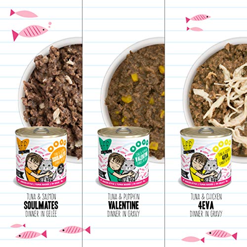 Best Feline Friend B.F.F., Big Feline Feast Variety Pack, Wet C...