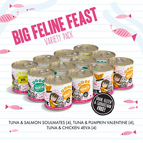 Best Feline Friend B.F.F., Big Feline Feast Variety Pack, Wet C...