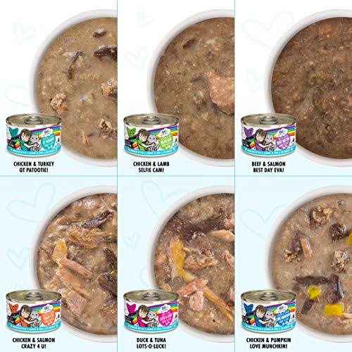 Weruva B.F.F. Omg - Best Feline Friend Oh My Gravy!, Variety Pack...