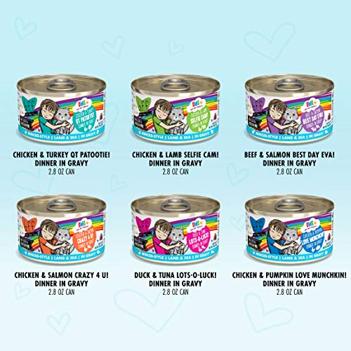 Weruva B.F.F. Omg - Best Feline Friend Oh My Gravy!, Variety Pack...