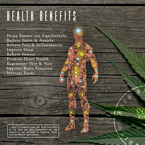 2-Pack Organic Raw Hemp Oil - 600MG - Cinnamint Flavor - Enhanc...