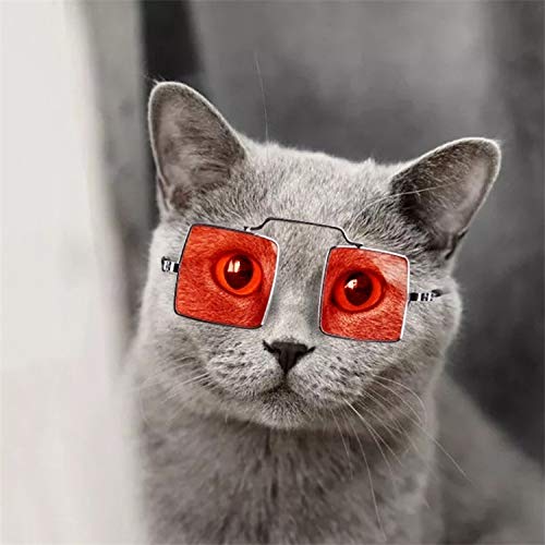 WHZ 4 PCS Pet Jewelry Cat Photo Funny Props Personality Glasses ...