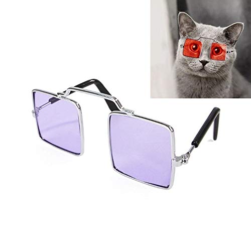 WHZ 4 PCS Pet Jewelry Cat Photo Funny Props Personality Glasses ...