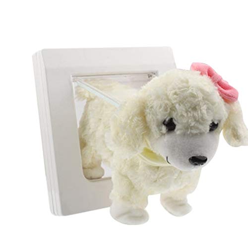 WHZ Cat/Small-Scale Dog Friendly Transparent Flap, Universal 4 Wa...
