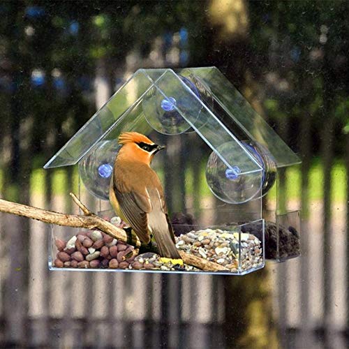 WHZ Creative Plastic Transparent Adsorption House Type Bird Feeder