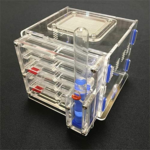 WHZ DIY Acrylic Pet Ant Nest Ant House Mini GranaryBlack Color...